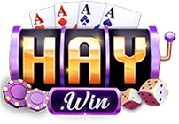 Haywin Logo